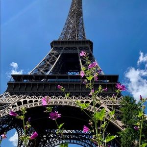 Meet your Posher, Liz